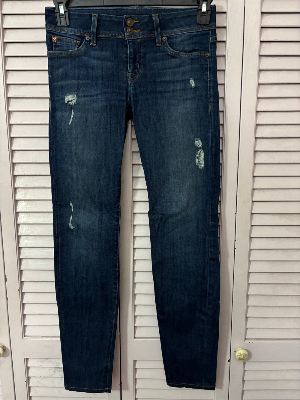Hudson Skinny Jeans